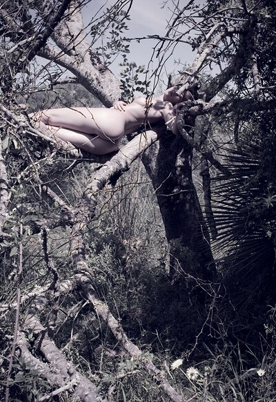 Amy in Sleeping In A Tree from Gallery Carre