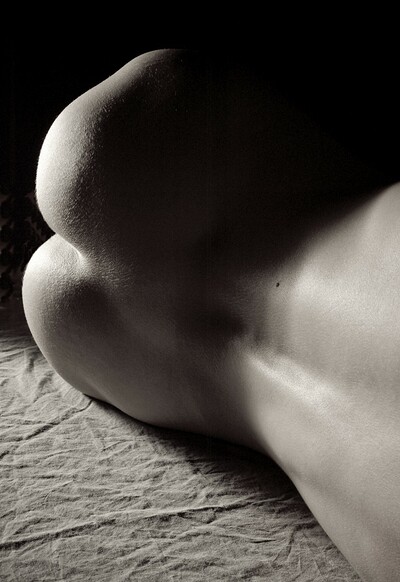 Lena in Perfect Back from Gallery Carre