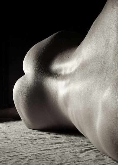 Lena in Perfect Back from Gallery Carre