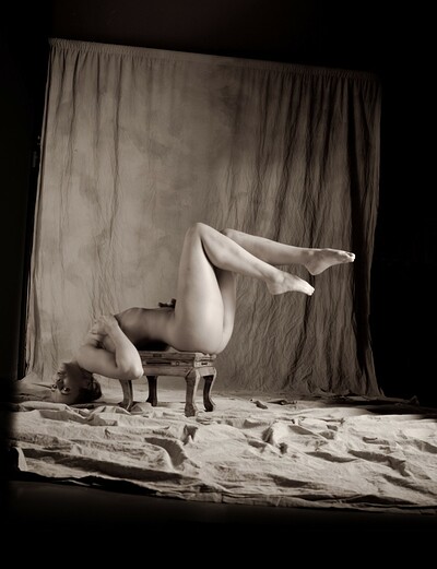 Andgy in Training from Gallery Carre
