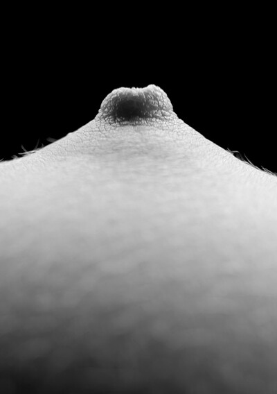 Josephine in Perfect Breasts 2 from Gallery Carre