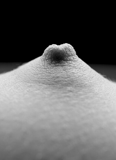 Josephine in Perfect Breasts 2 from Gallery Carre