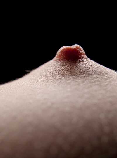 Josephine in Perfect Breasts 2 from Gallery Carre