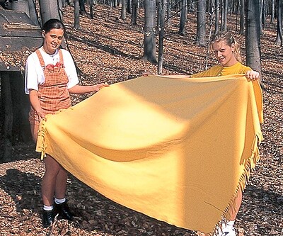 Roos A and Kelly in #3768 from Club Sweethearts