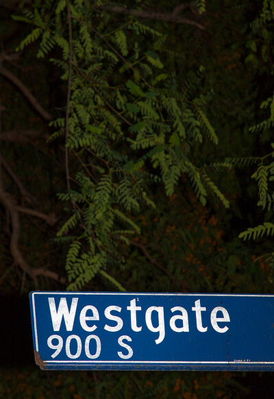 Whitney Westgate in The Late Soup from Zishy