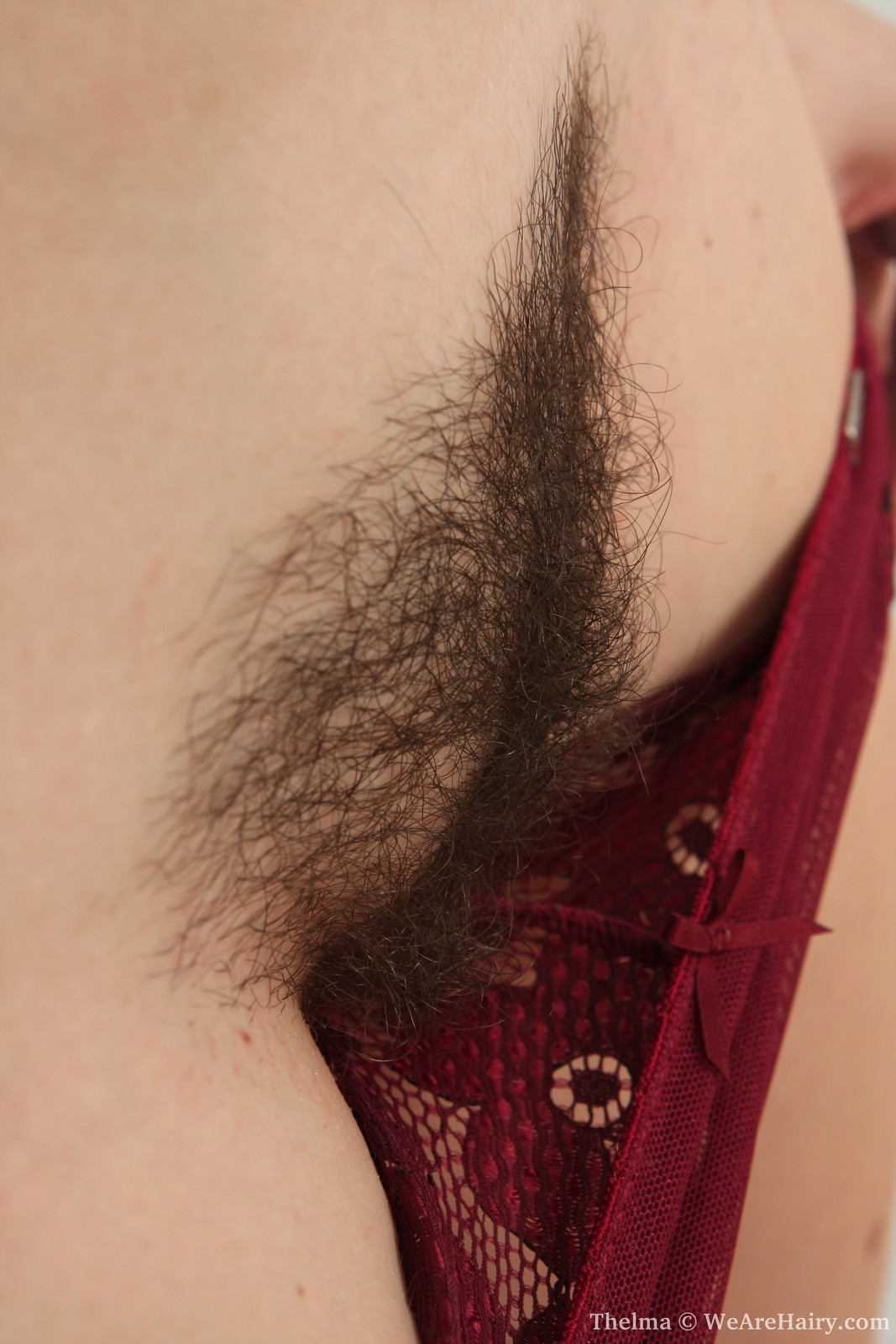 Thelma in We Are Hairy set Petite Thelma has a big hairy surprise