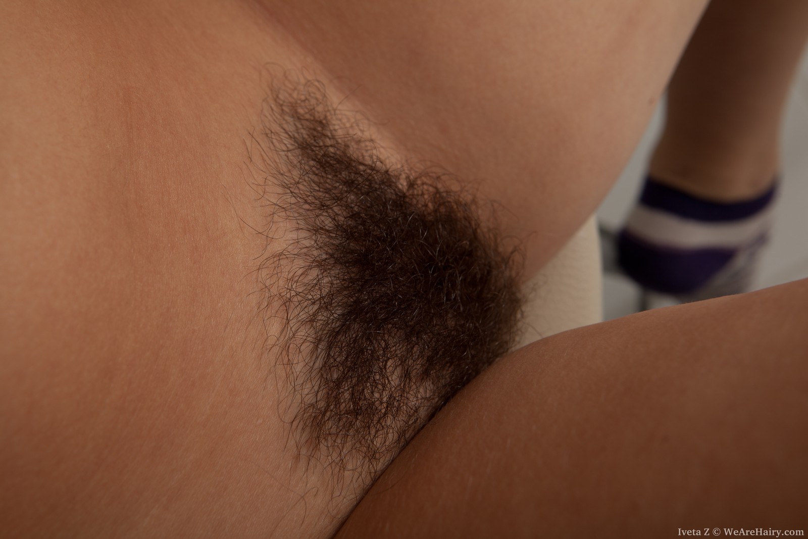 Iveta Z in We Are Hairy set Iveta Z spreads her fluffy pink pussy