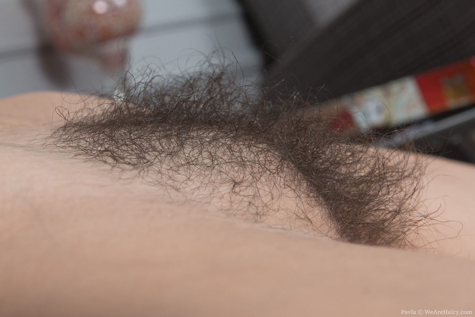 Pavla in We Are Hairy set Pavla finishes a puzzle and strips naked afterward