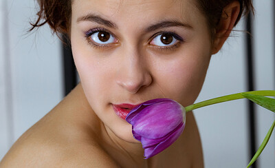 Anita in Sensitive Place 1 from Showy Beauty