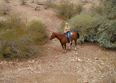 Amanda in Horse Pics from Nubiles