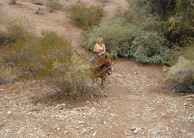 Amanda in Horse Pics from Nubiles