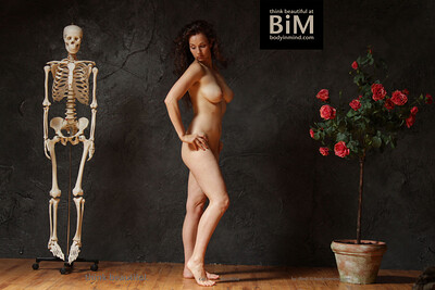 Cat in Absinthe from Body In Mind