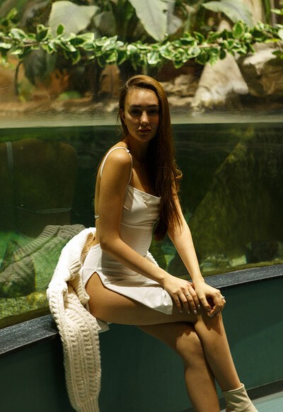 Ira Sedina in Night At The Aquarium from Zishy