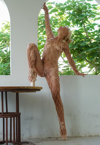 Delphine I in Delphine My Dancing Skills from Stunning 18