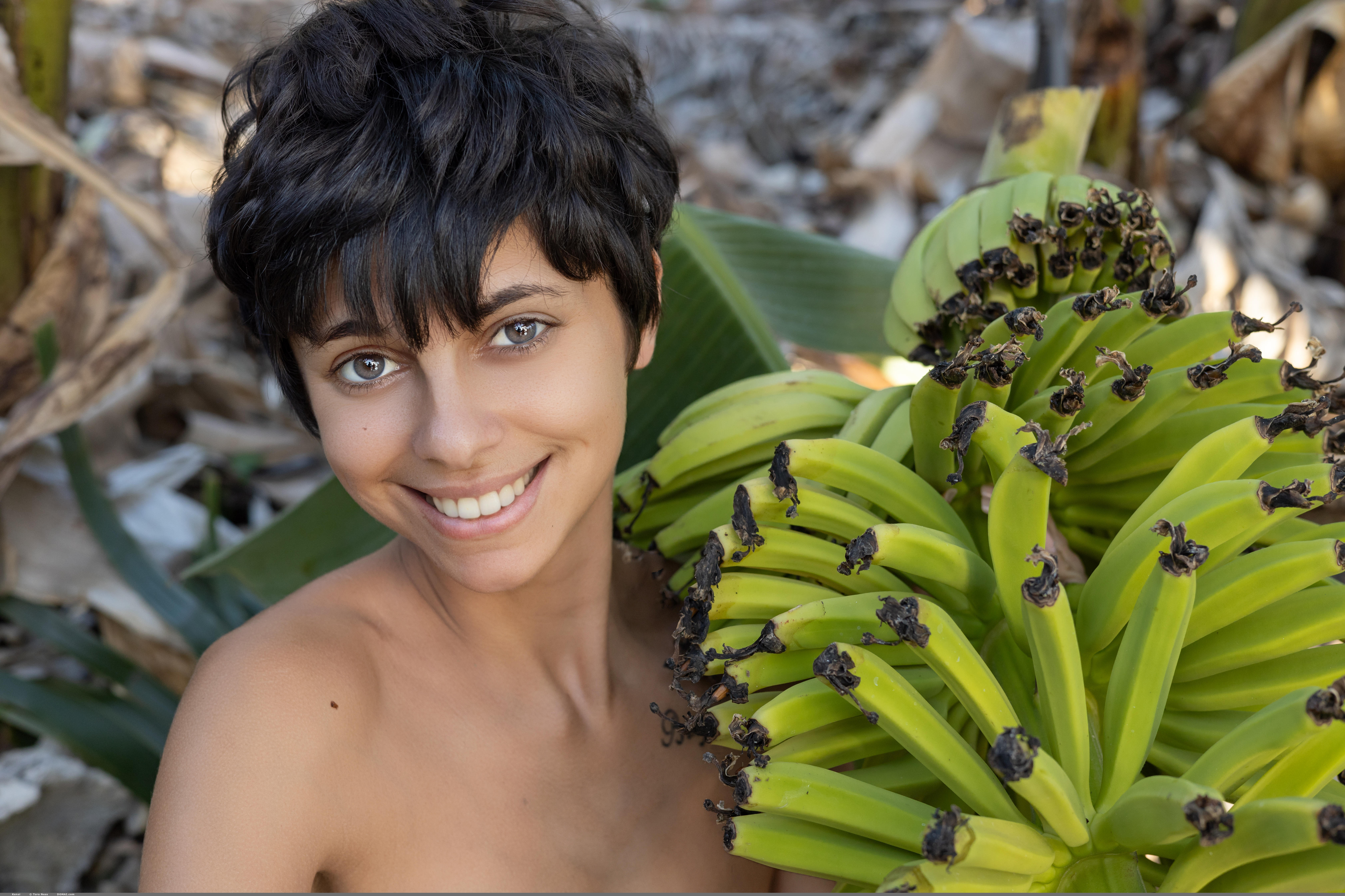 Kensi in Domai set Kensi 1