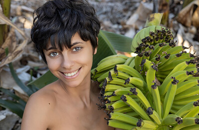 Kensi in Domai set Kensi 1