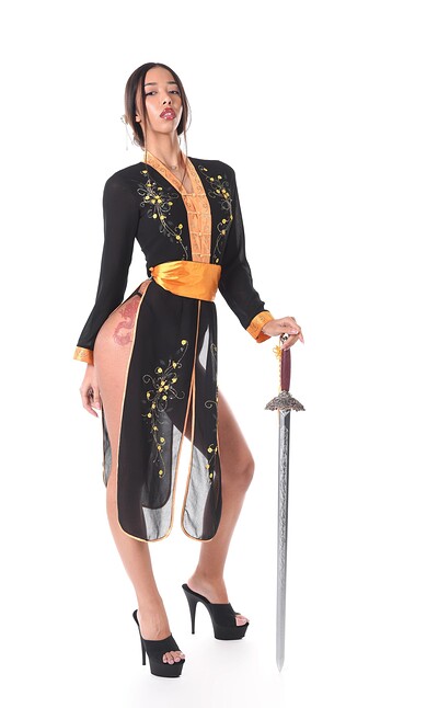 Lia Lin in Show Me Your Sword from Istripper