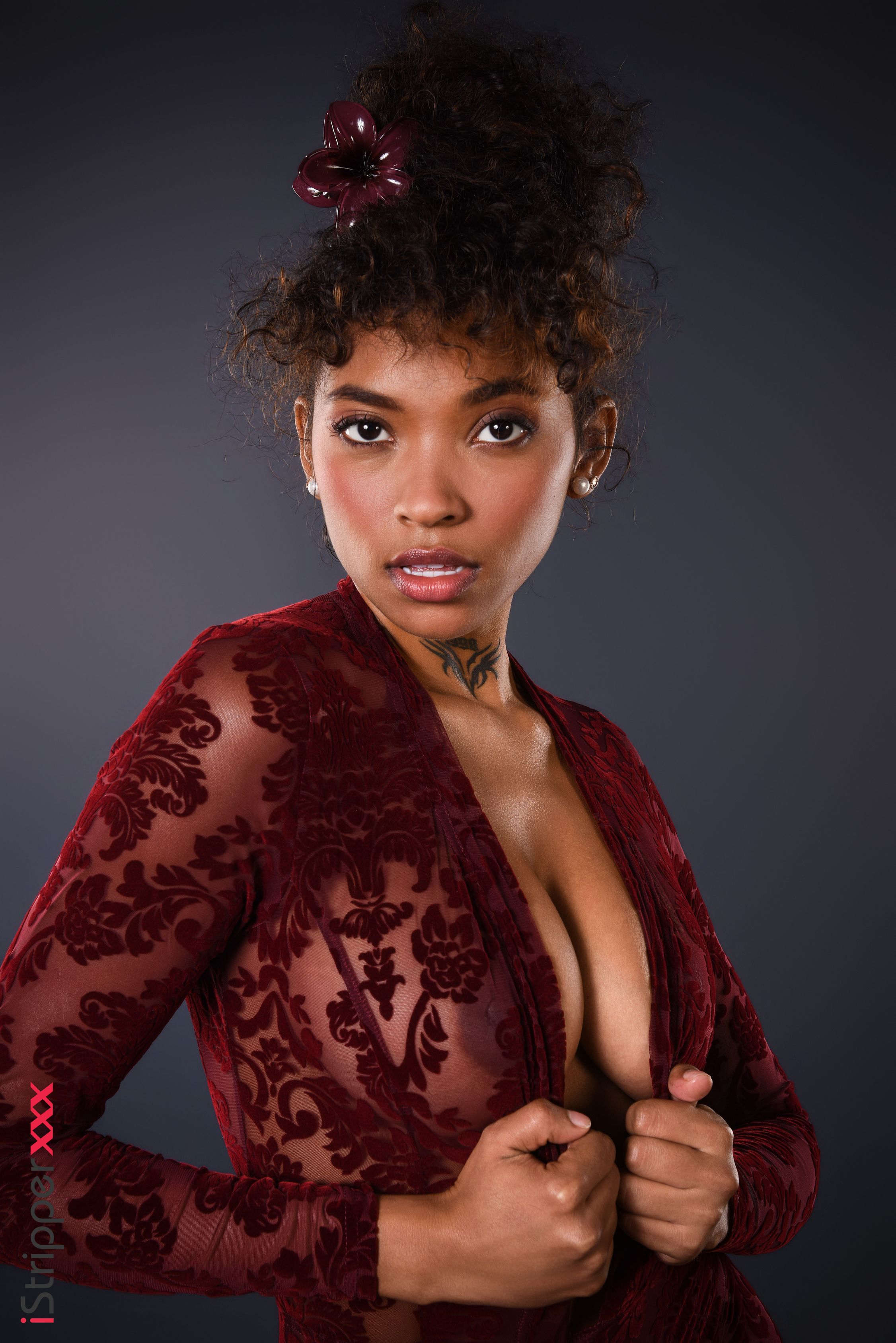 Barbie Rous in Istripper set Hugged In Burgundy