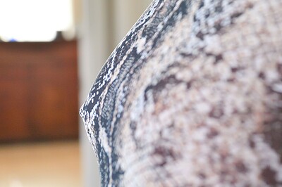Candice in Slinky Sexy Snakeskin from FTV Milfs