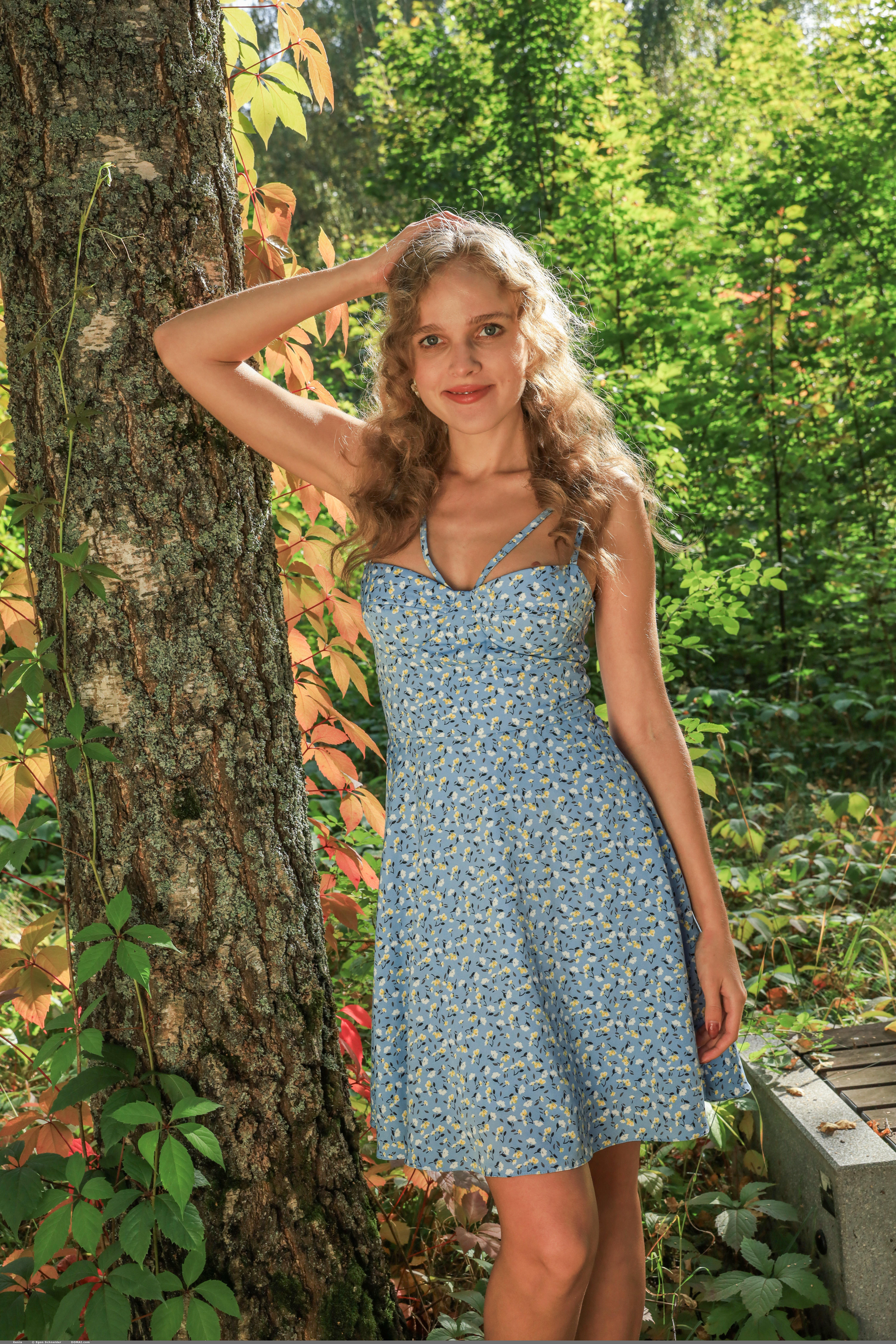 Xenia in Domai set Xenia 1